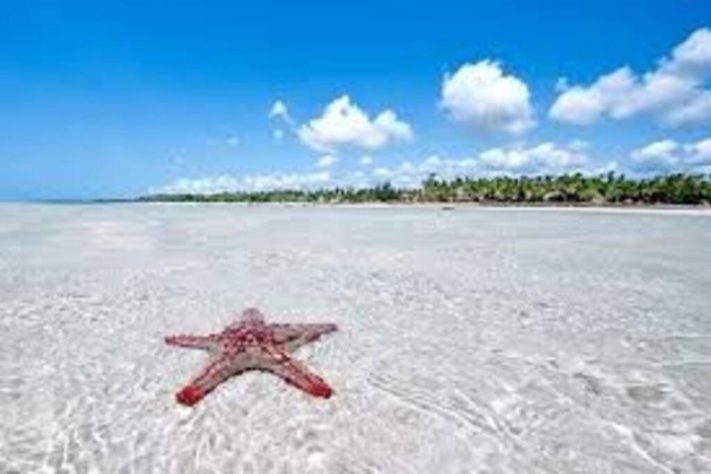 White Villa - Paparemo Beach Watamu Extérieur photo